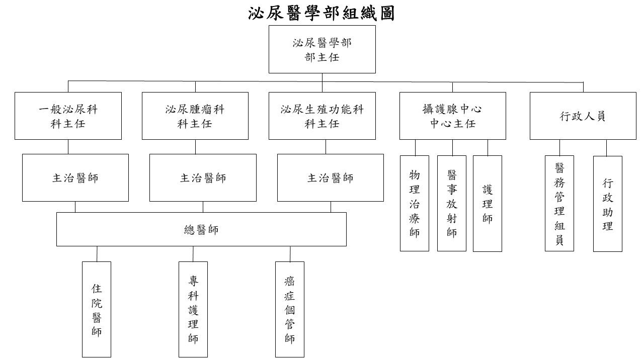 泌尿醫學部組織圖.jpg
