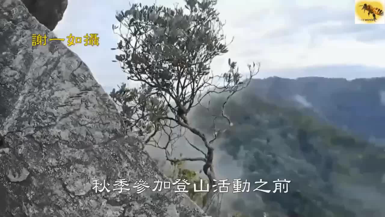 預防虎頭蜂螫