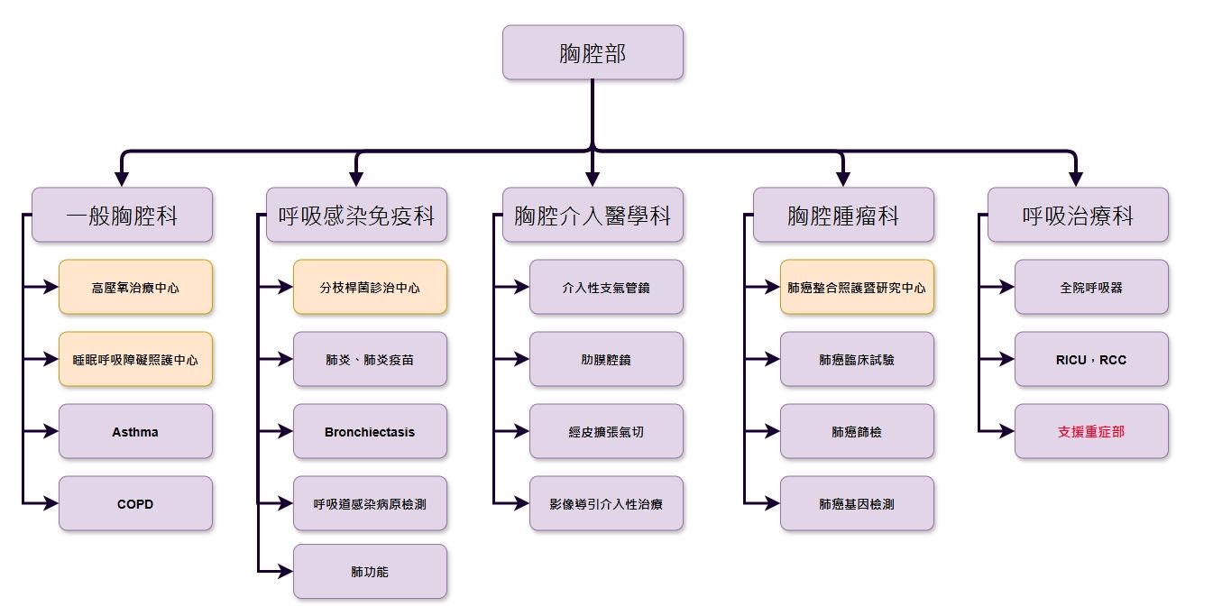 胸腔部組織業務分配圖.jpg
