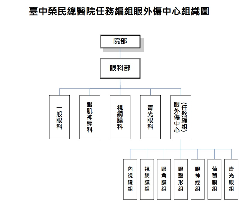 眼外傷組織架構.png