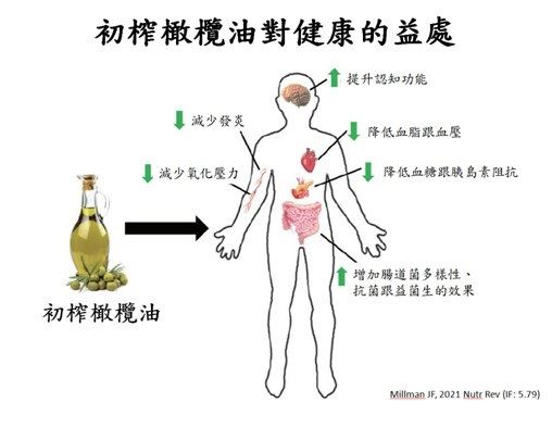 初榨橄欖油對健康的益處.jpg