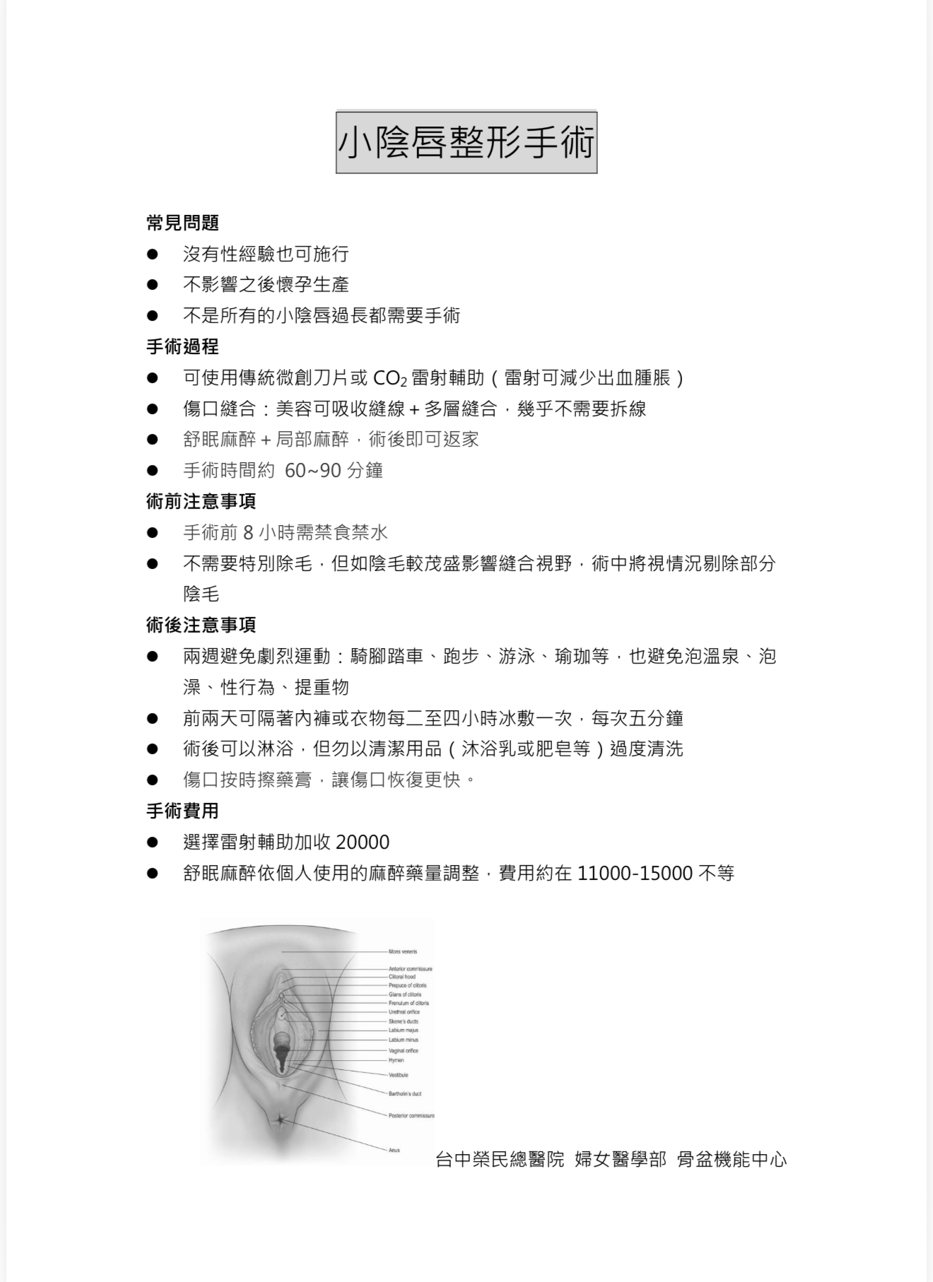 小陰唇整形手術.png