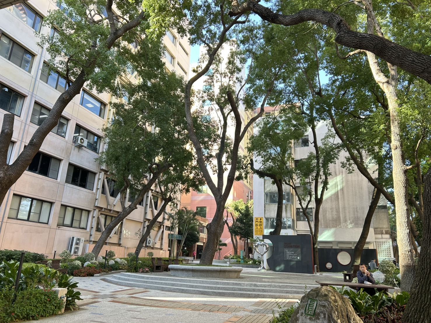 10.樟樹(圓).jpg
