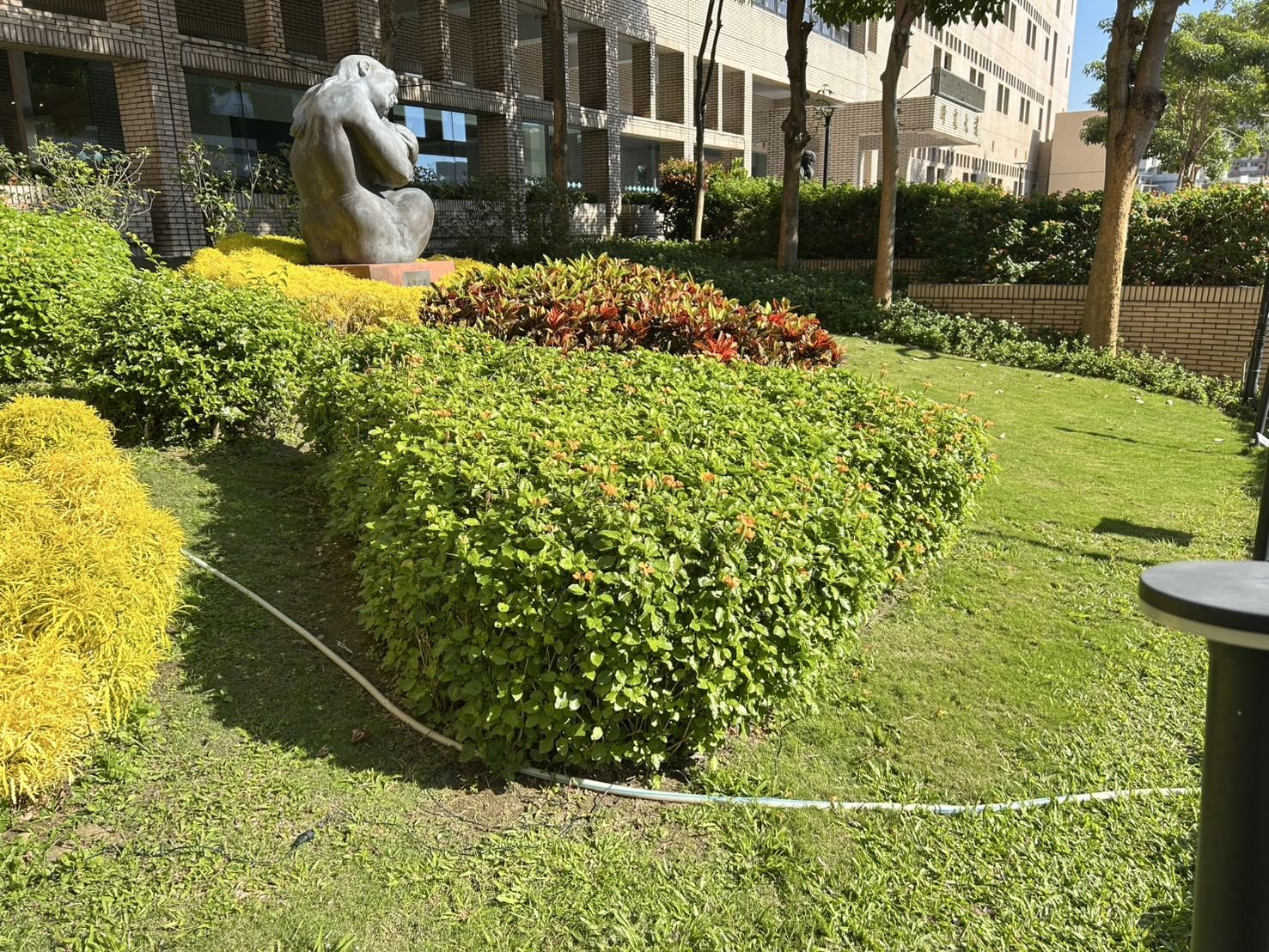 36鳥尾花(研.jpg