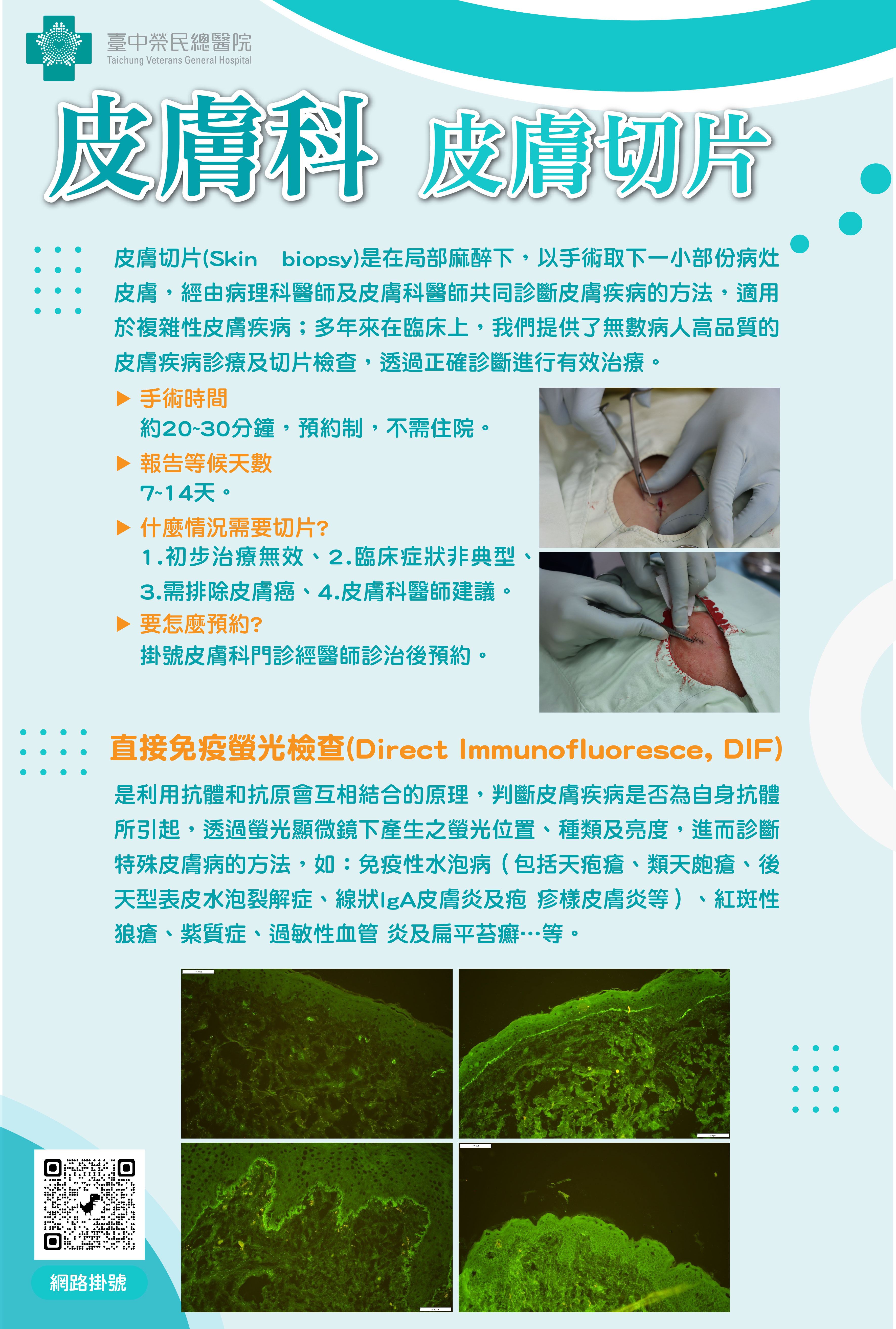 10-皮膚切片-02.jpg