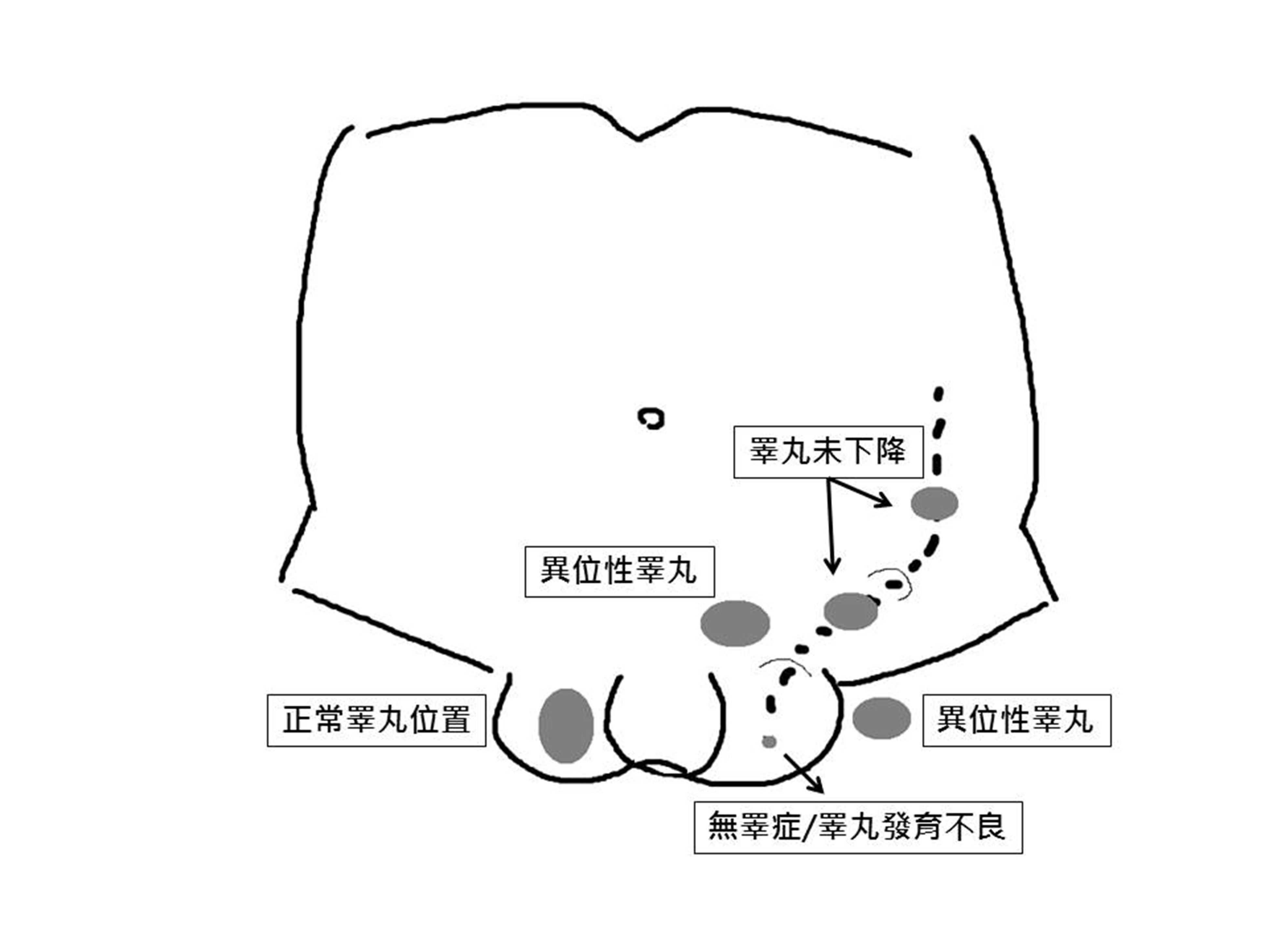 bb6d338d-ad15-4f96-b207-8afdbaddb134.jpg