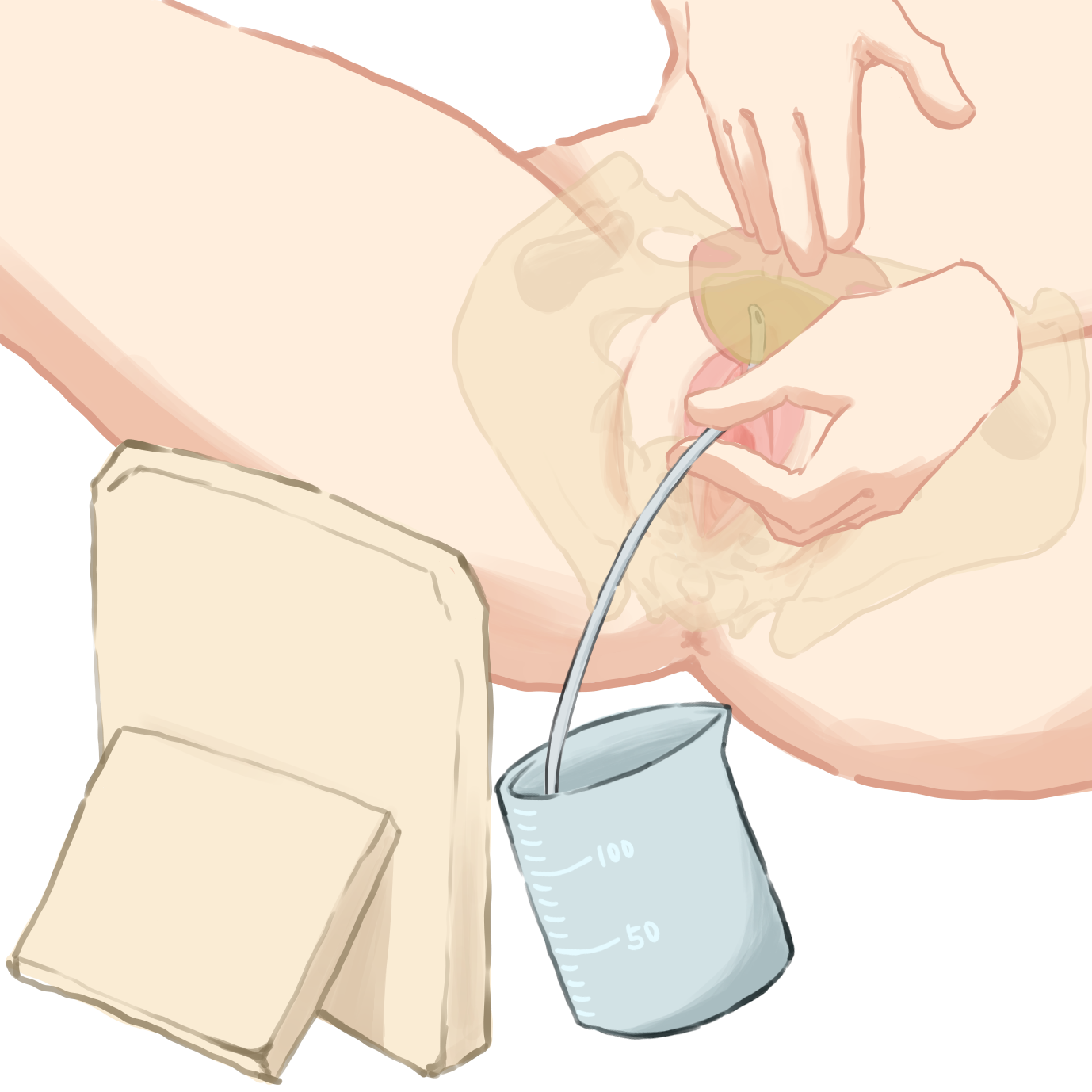 b734a372-7012-4c3c-a44f-6098aea5b48d (1).png