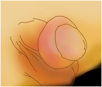 下載 (3).png