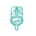 一般泌尿科.png