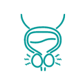 泌尿腫瘤科.png